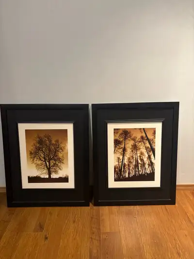 Framed Art Prints, View more