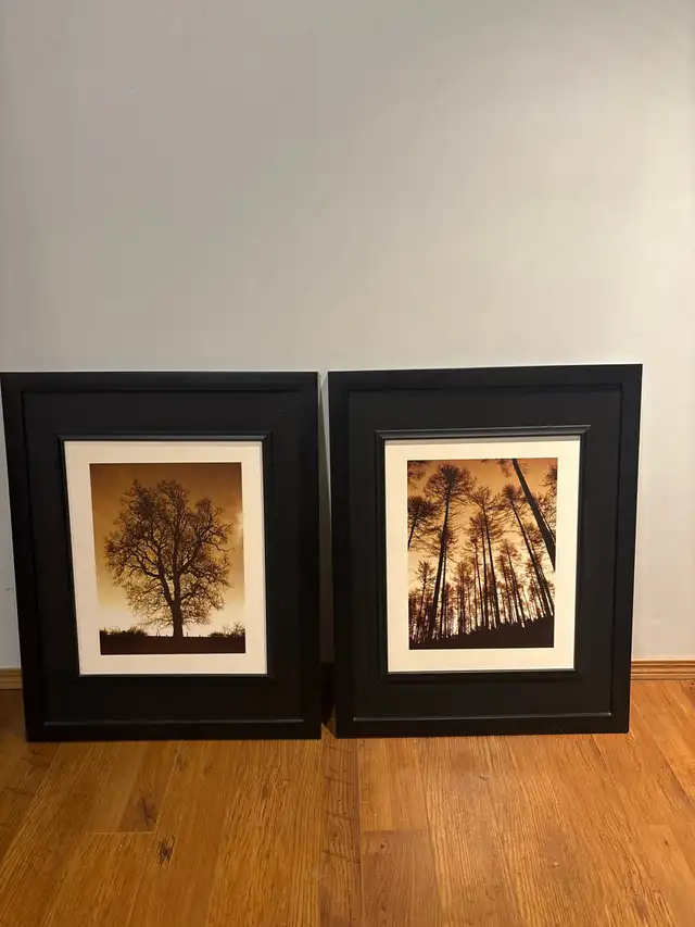 Framed Art Prints in Home Décor & Accents in Fort McMurray - Image 2