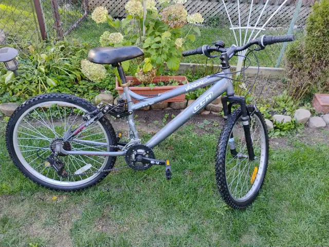 Vandall 24 inch wheels CCM mountain  bike in Mountain in Kitchener / Waterloo - Image 2