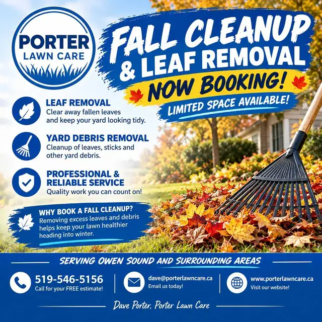 Fall Clean up 