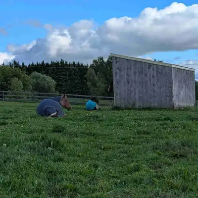 ISO: Hobby farm for rent within 25 minute radius of Gads Hill (Stratford/Wellesley/Milverton/St Mary...