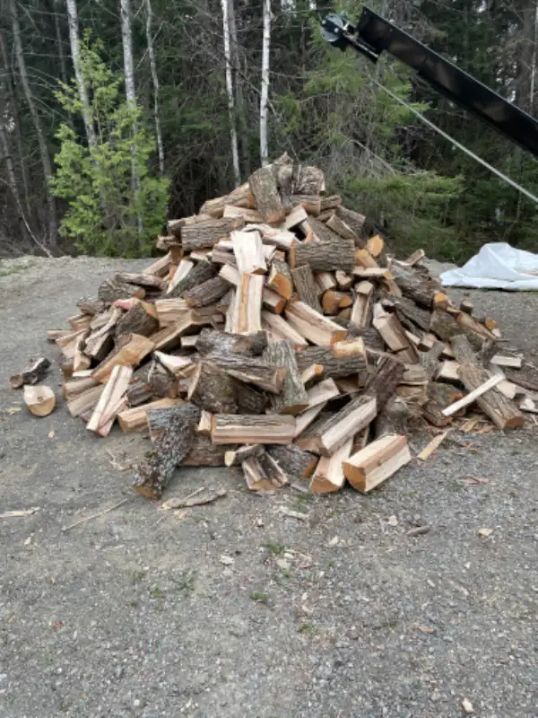Bois de chauffage in Fireplace & Firewood in Edmundston - Image 4
