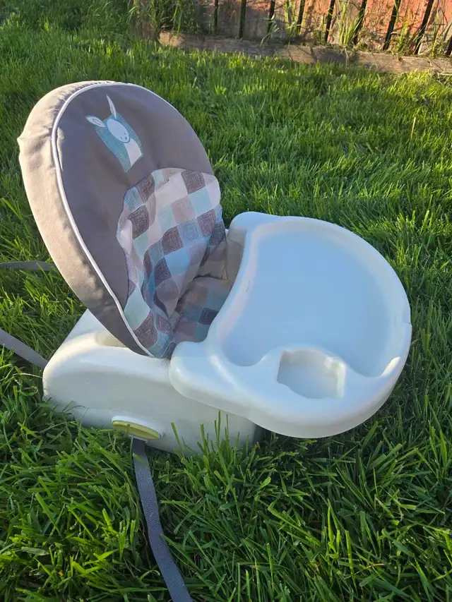 infant Boooster Seat in Bathing & Changing in Edmonton - Image 8