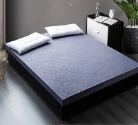 (Delivery for free) Japanese tatami firm Queen mattress foam