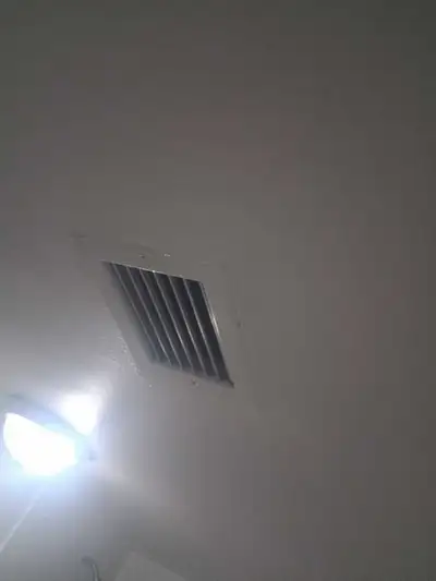 Seeking Small Companion Dog for Kind Local Senior, View more