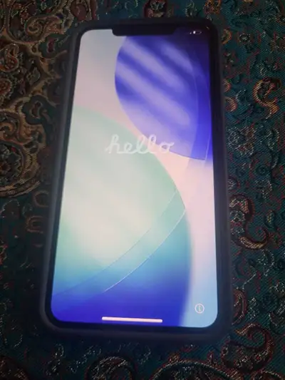 Unlocked 256GB Comes with a case Mint conditon