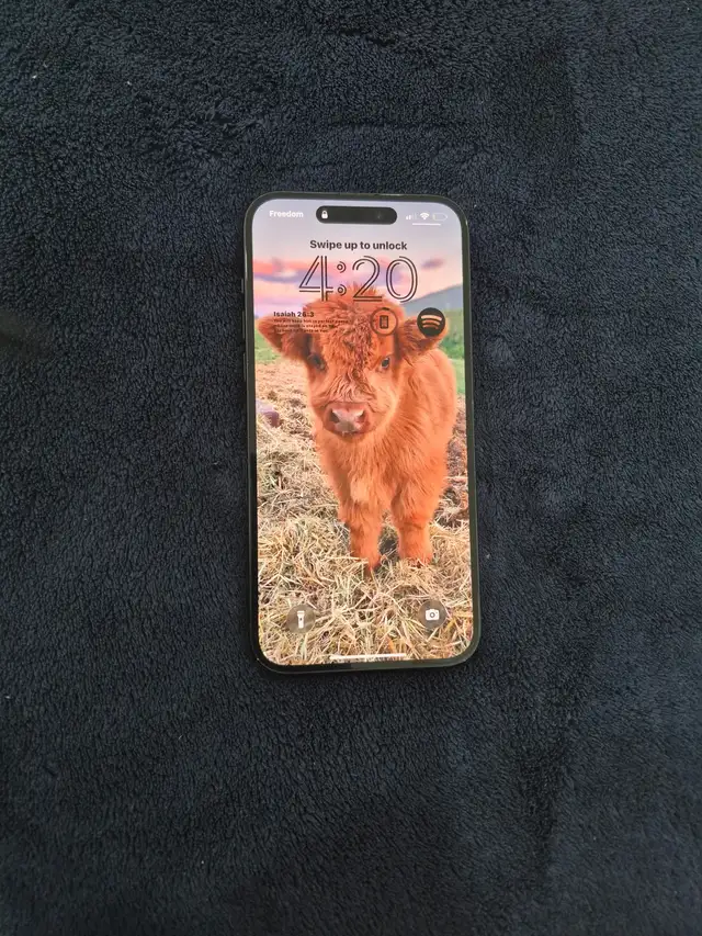 Iphone 15 plus64993763136258121