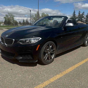 2015 BMW 2 Series M235i