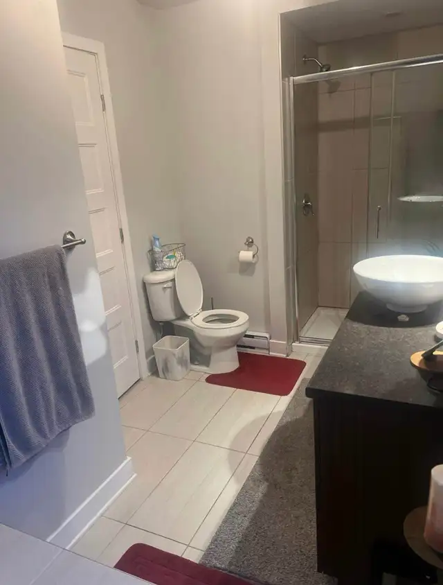 4 1/2 à louer - personne propre et serieuse in Long Term Rentals in Laval / North Shore - Image 7