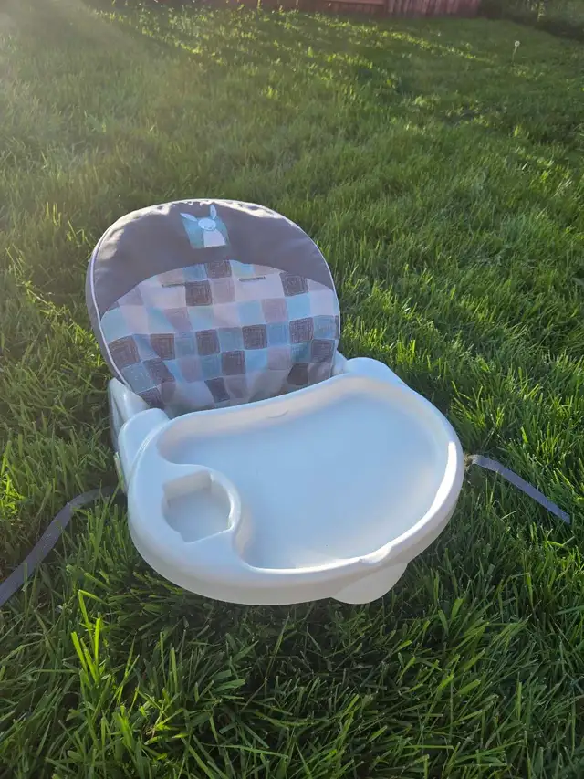 infant Boooster Seat in Bathing & Changing in Edmonton - Image 5