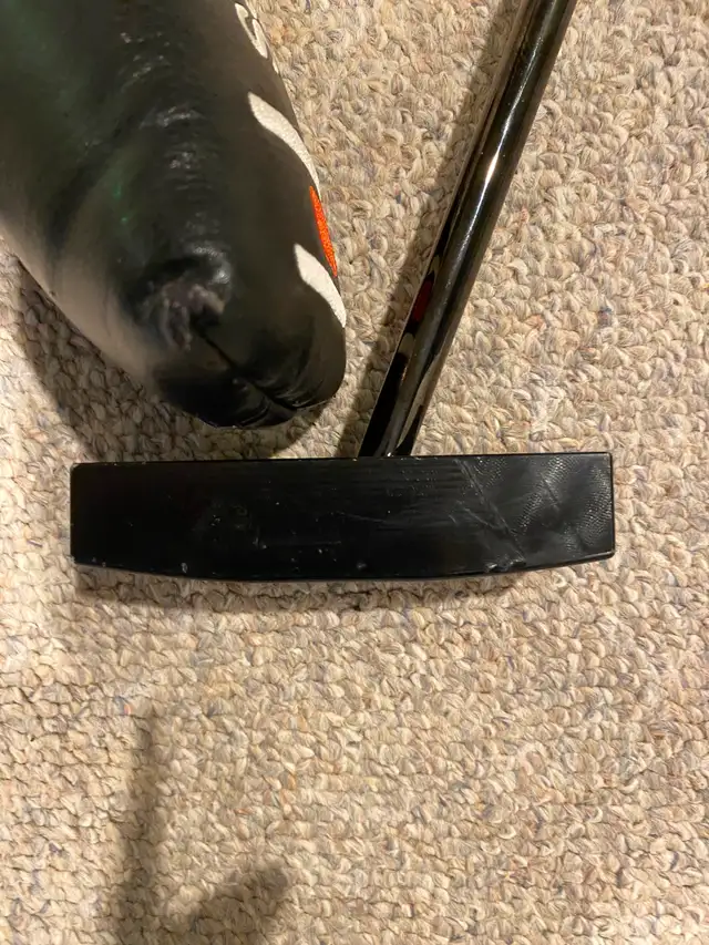 SeeMore putter in Golf in Ottawa - Image 4