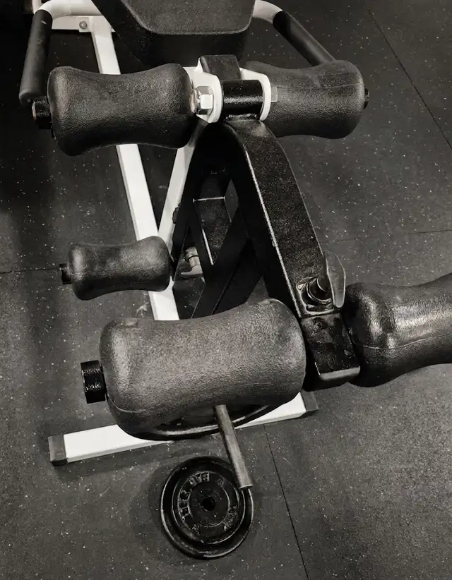 Northern Lights: leg curl/raise bench | Exercise Equipment | Barrie ...