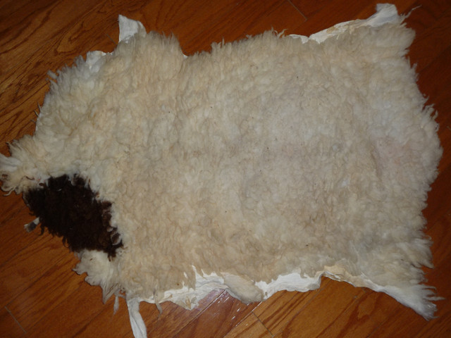 2 Beaux tapis Peau de Mouton/ Genuine Natural Sheepskin Rugs in Rugs, Carpets & Runners in Longueuil / South Shore - Image 2