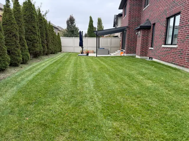  FALL YARD CLEANUP SERVICES 594162952879493126