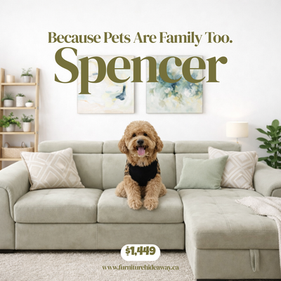 Only $1,449 ✨ Key Features: * Pet-friendly, easy-clean fabric * Adjustable headrests for personalize...