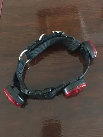 Dogs collar, View more