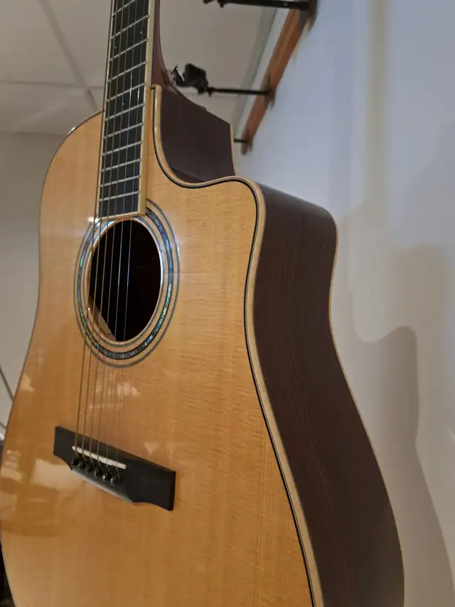 Larrivee DV-09 Acoustic Electric Cutaway Guitar in Guitars in Thunder Bay - Image 11