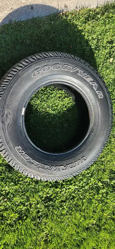 Rim and Tire