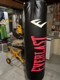 EVERLAST NevaTear (100 lb) - Boxing Heavy Bag