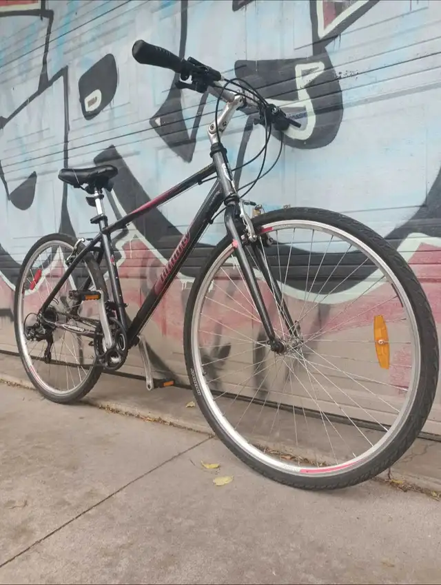 Infinity Hybrid Bike 