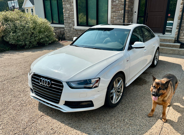 2016 Audi A4 S-Line in Cars & Trucks in Edmonton