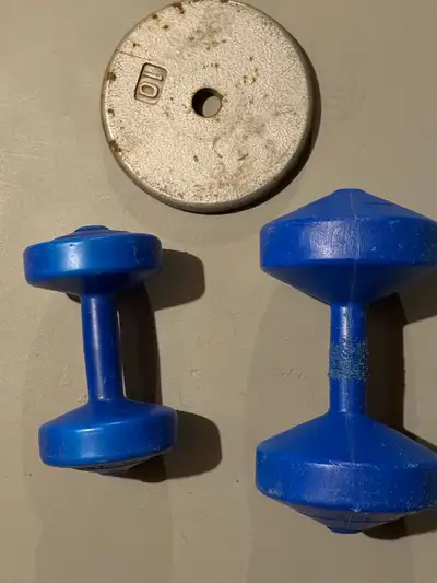 These are used dumbbells with a 10lb weight plate, perfect for starting your fitness journey! They h...