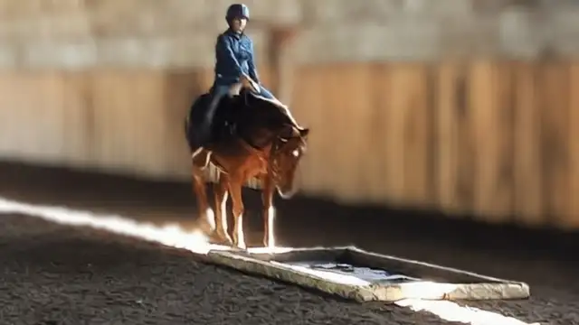 Temperature controlled indoor riding lessons64840302708737122