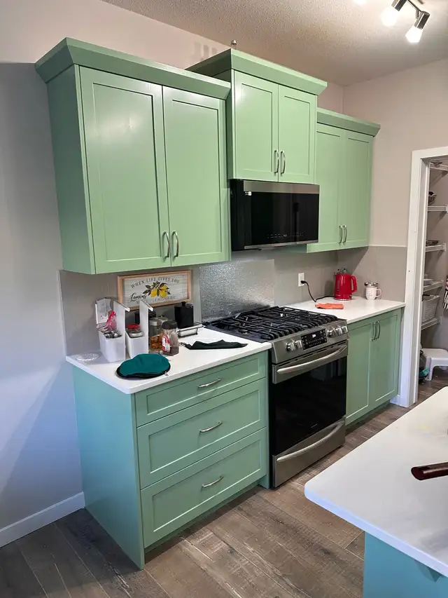 Professional Painter65561306569346123