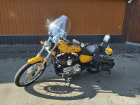 Harley Davidson Sportster 1200 Custom à vendre