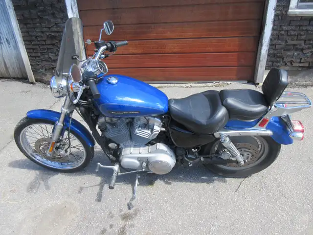 2008 Harley-Davidson Sportster 883 XL Custom in Street, Cruisers & Choppers in Trenton - Image 3
