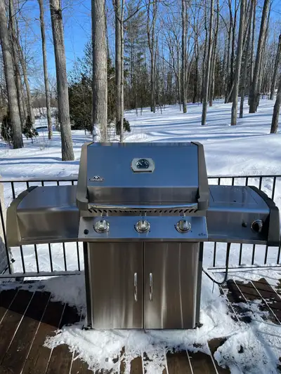 Napoleon BBQ, View more