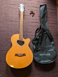 Fantasie Acoustic Guitar Model Fgo28c-40  & bag
