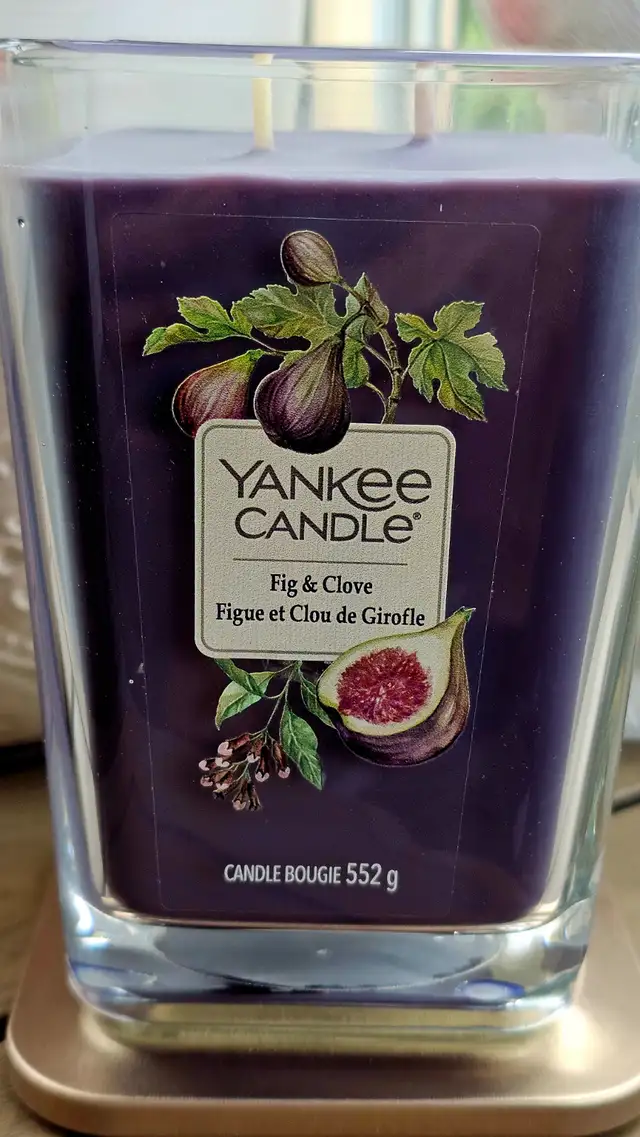 Yankee candle - Fig and Clove in Home Décor & Accents in City of Toronto - Image 2