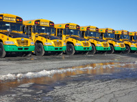 Chauffeur d'autobus scolaire / School Bus driver