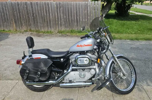 Harley Davidson Sportster 883 in Other in Thunder Bay - Image 3