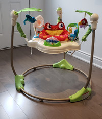 Fisher-Price Rainforest Jumperoo Baby Bouncer