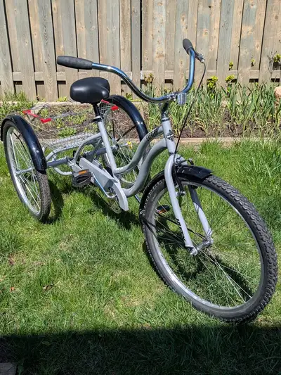 Adult Tricycle - Single Speed ( Tires 26" ), View more