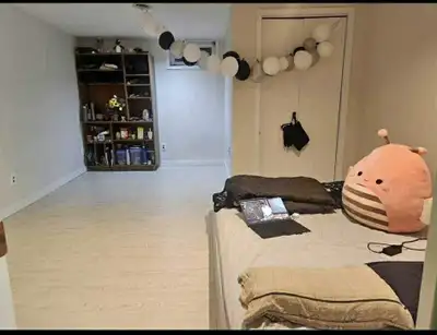 1 furnished bedroom in a newly renovated house is available near UofM. It comes with mattress, table...