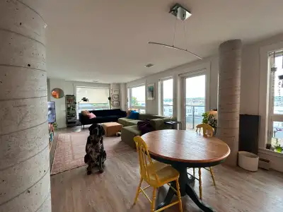 Looking for a bright, spacious, and pet-friendly apartment in one of Halifax’s most vibrant neighbou...