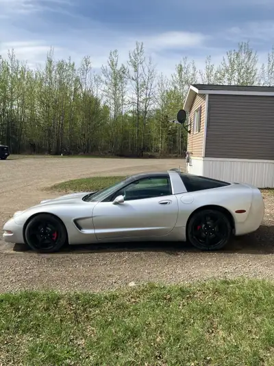 2002 Corvette, engine, tranny strong. Don't know much about the car. Selling cheap as the bumper has...