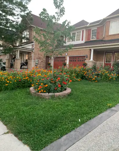 Spacious 2-Bedroom Basement for Rent in Brampton
