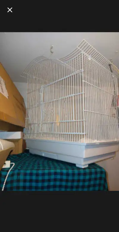 cage d'oiseaux blanche, View more
