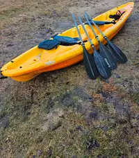 2 person Pelican sit on top Kayak with paddles and clip in seats