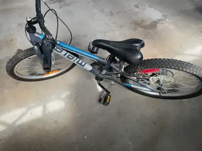 Miele kids mountain bike 20” wheel, View more