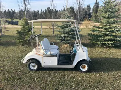 1979 Club Car Caroche 36v New batteries New charger Get ready to turn heads and spark conversations...