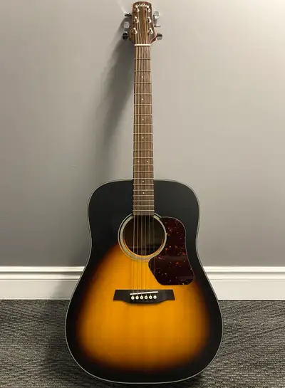 Walden D550 Tobacco Burst w/ Case and Accessories, View more