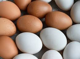 Farm fresh eggs in Livestock in Peterborough