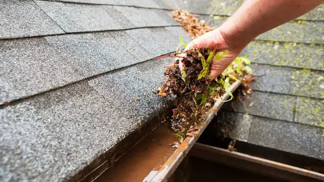 Lawn maintenance63235386012033123