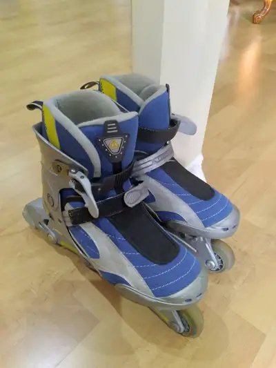 Rollerblades $30, View more