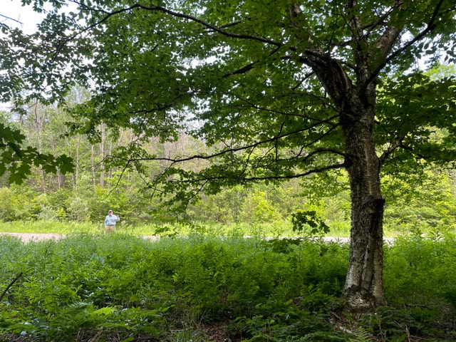 Terrain de 2 acres à vendre à Grenville avec accès notarié lac — photo 3